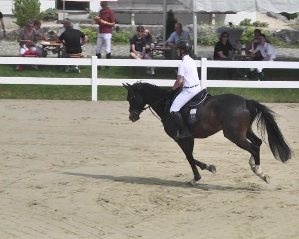 Reitturnier - Leutkirch-Diepoldshofen 2021