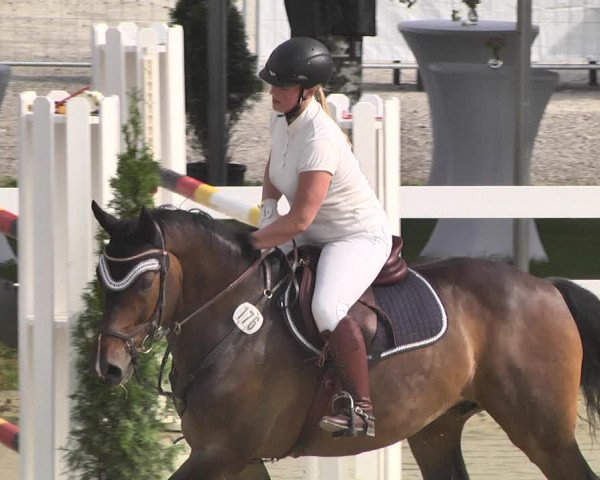 Reitturnier - Leutkirch-Diepoldshofen 2021