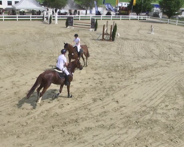 Reitturnier - Leutkirch-Diepoldshofen 2021