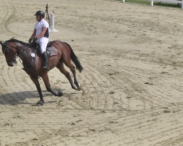 Reitturnier - Leutkirch-Diepoldshofen 2021