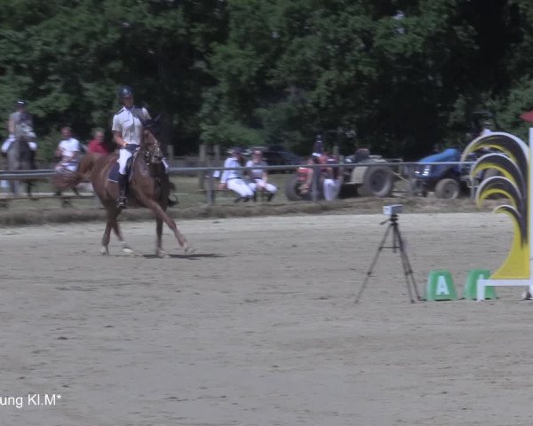 Reitturnier Coesfeld/Lette 2021