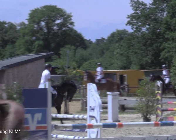 Reitturnier Coesfeld/Lette 2021