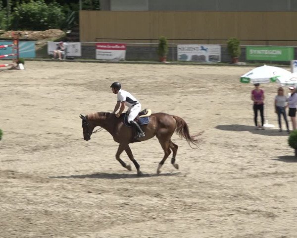 Reitturnier Schaffhausen 2021