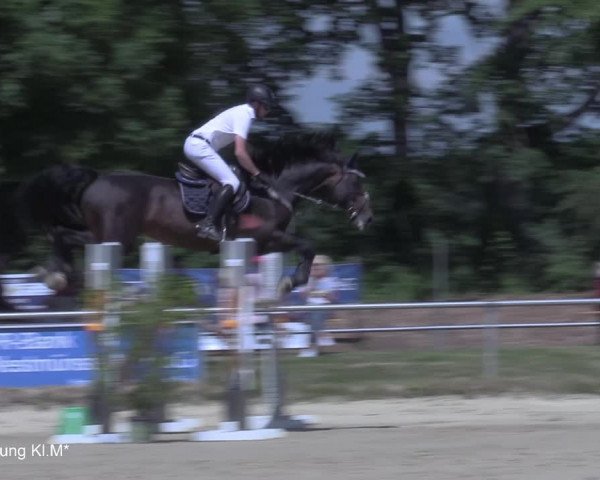 Reitturnier Coesfeld/Lette 2021