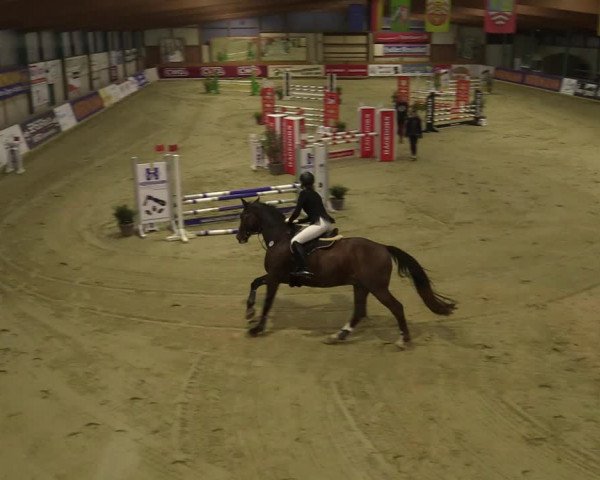 Steinhagen Classics 2021