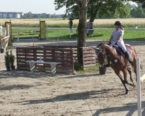 Reitturnier Biebesheim 2021