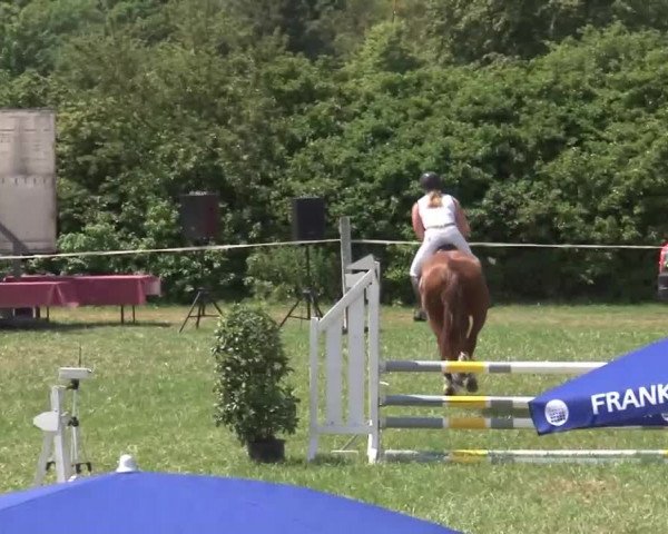 Reitturnier Bad Windsheim/Mfr. 2021