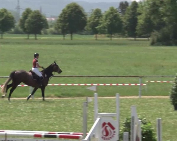 Reitturnier Bad Windsheim/Mfr. 2021