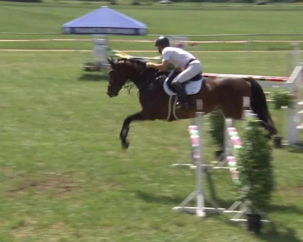 Reitturnier Bad Windsheim/Mfr. 2021