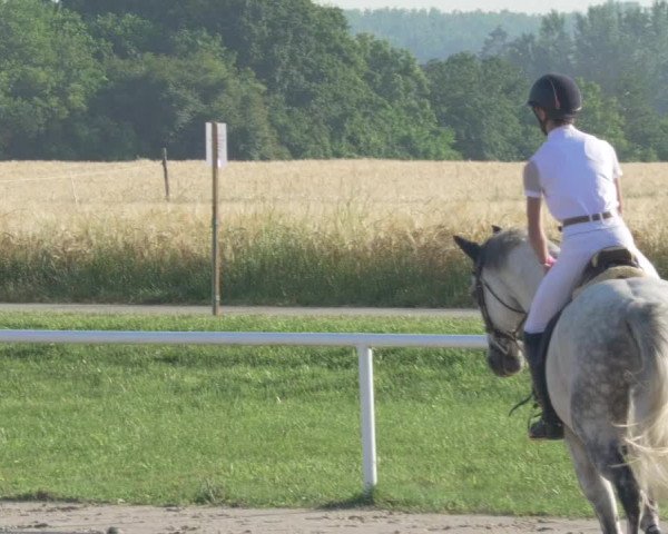 Reitturnier Biebesheim 2021