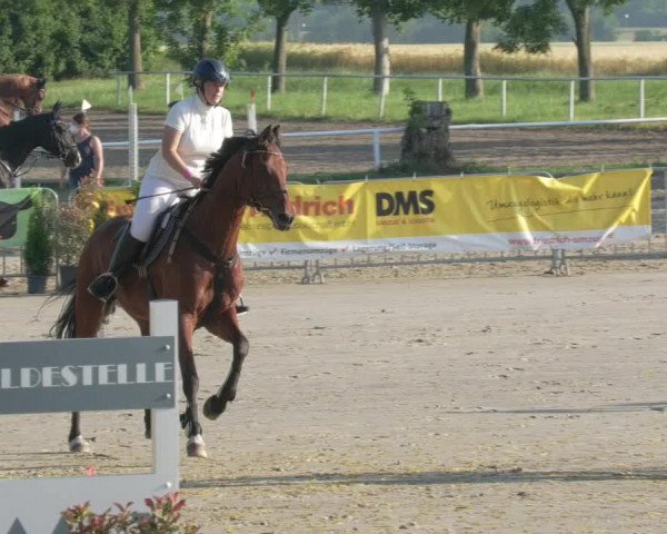 Reitturnier Biebesheim 2021