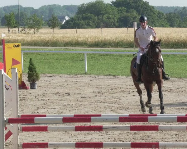 Reitturnier Biebesheim 2021
