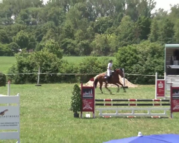 Reitturnier Bad Windsheim/Mfr. 2021