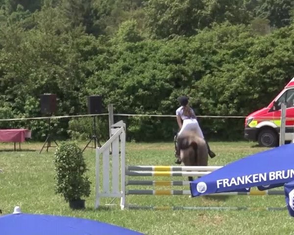 Reitturnier Bad Windsheim/Mfr. 2021