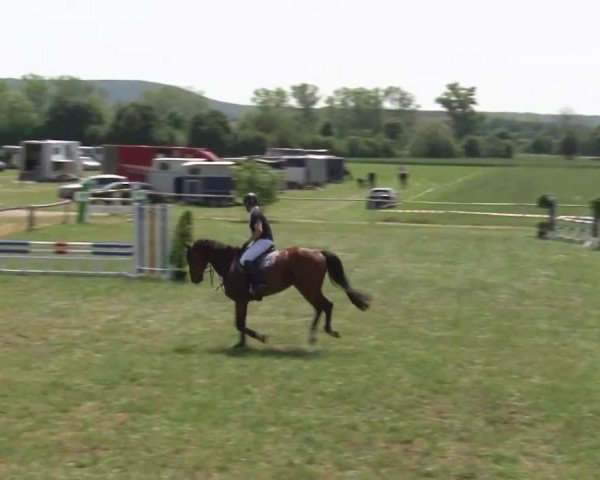 Reitturnier Bad Windsheim/Mfr. 2021
