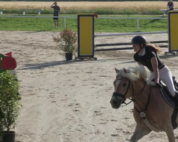 Reitturnier Biebesheim 2021