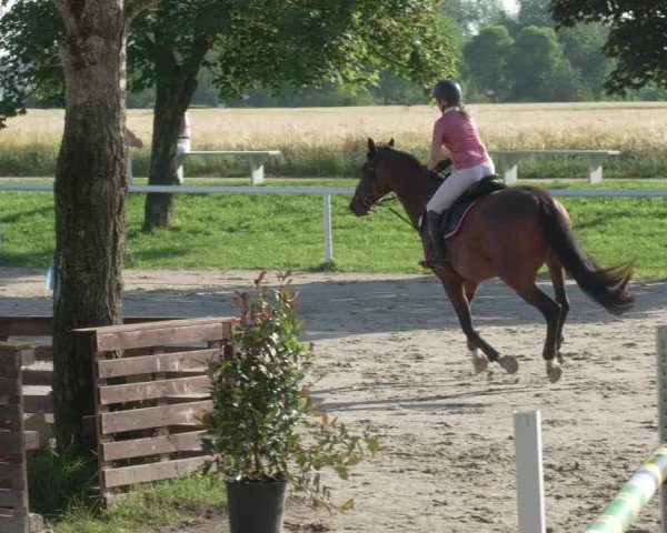 Reitturnier Biebesheim 2021