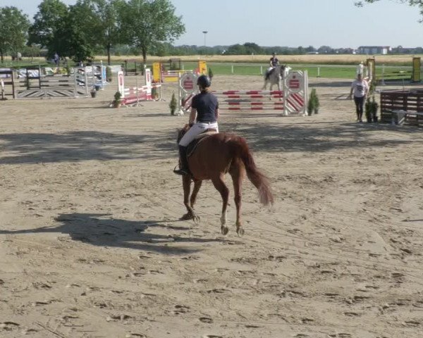 Reitturnier Biebesheim 2021