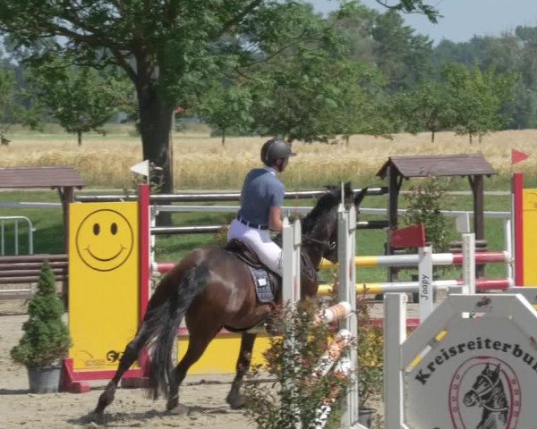 Reitturnier Biebesheim 2021