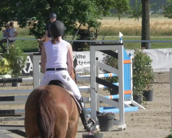 Reitturnier Biebesheim 2021