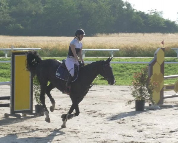 Reitturnier Biebesheim 2021