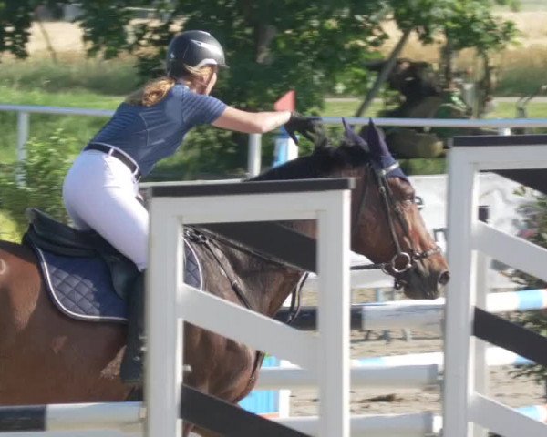 Reitturnier Biebesheim 2021