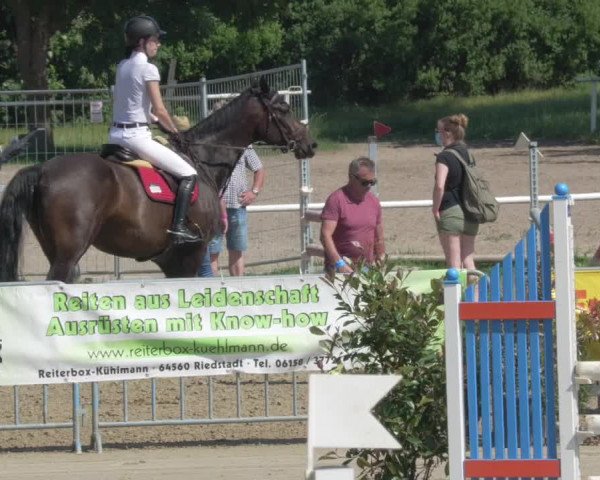 Reitturnier Biebesheim 2021