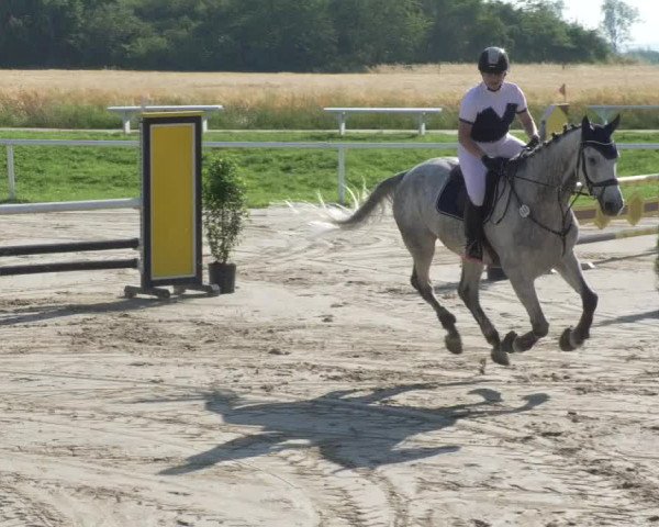 Reitturnier Biebesheim 2021