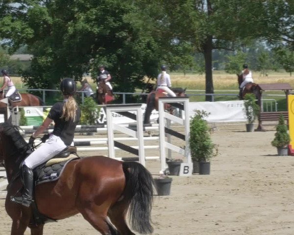 Reitturnier Biebesheim 2021