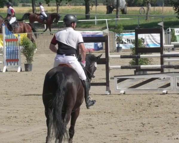 Reitturnier Biebesheim 2021