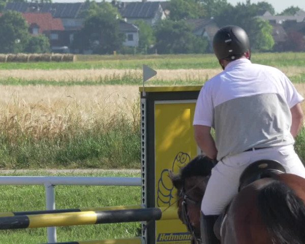 Reitturnier Biebesheim 2021