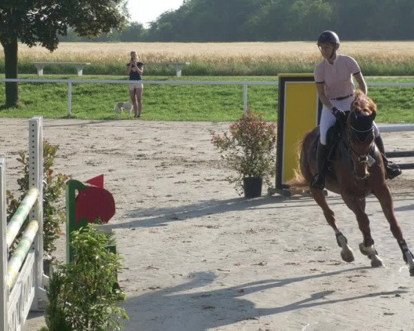 Reitturnier Biebesheim 2021