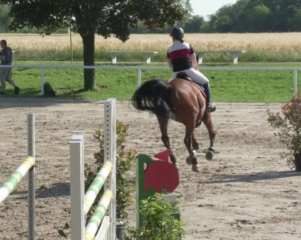 Reitturnier Biebesheim 2021
