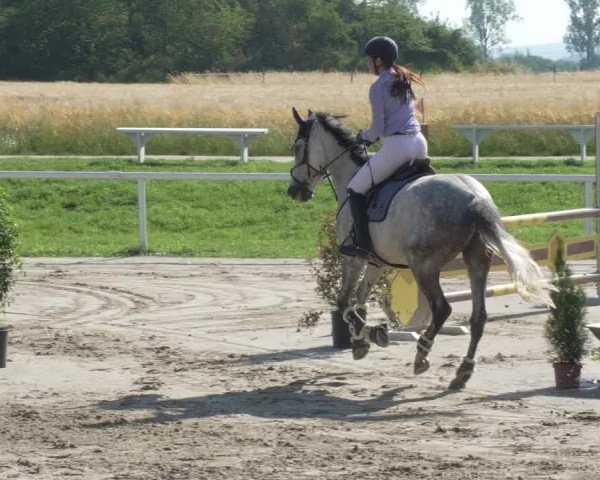 Reitturnier Biebesheim 2021