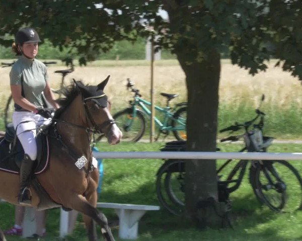 Reitturnier Biebesheim 2021