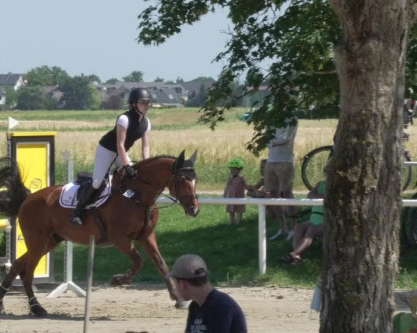 Reitturnier Biebesheim 2021
