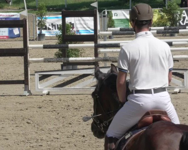 Reitturnier Biebesheim 2021