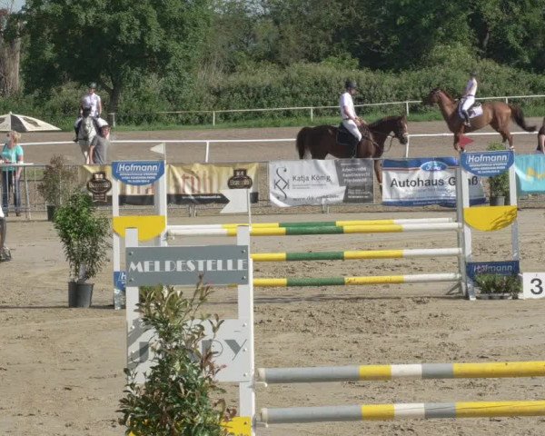 Reitturnier Biebesheim 2021