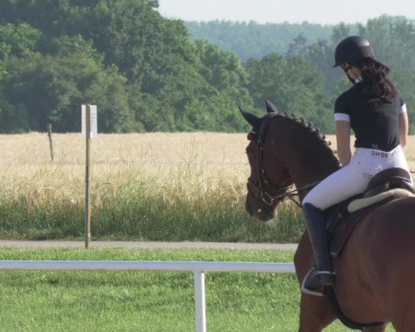 Reitturnier Biebesheim 2021