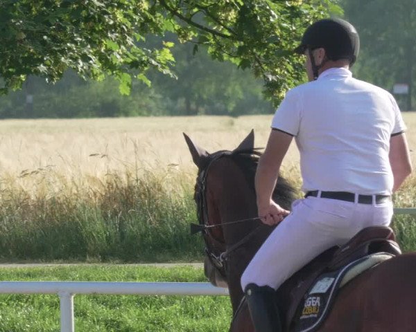 Reitturnier Biebesheim 2021
