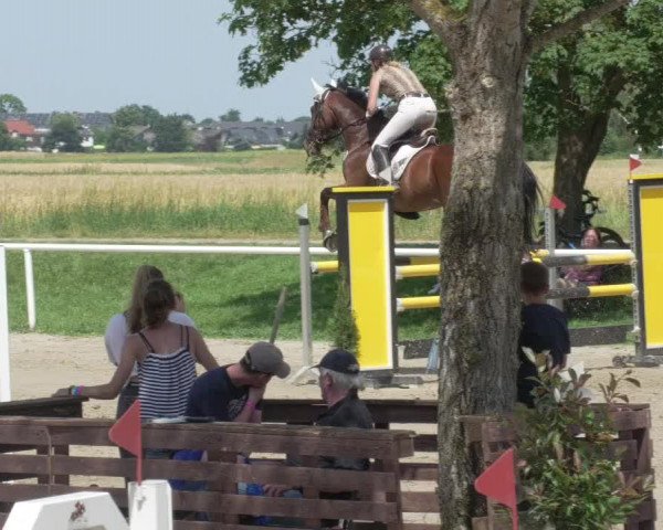 Reitturnier Biebesheim 2021