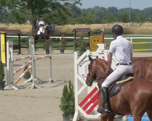 Reitturnier Biebesheim 2021