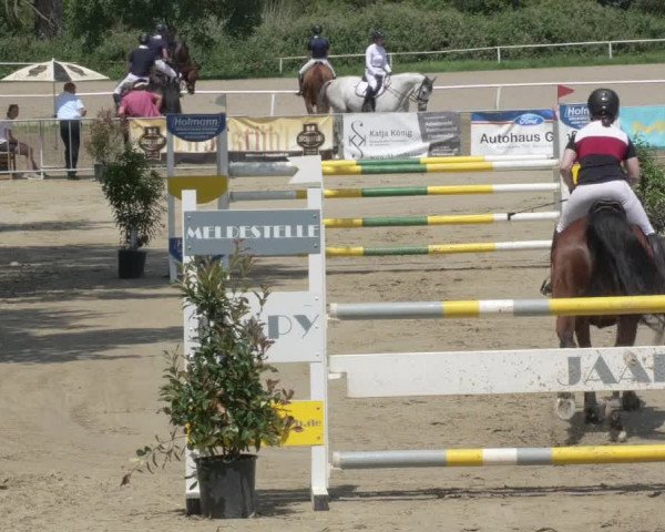 Reitturnier Biebesheim 2021