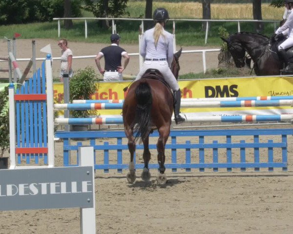 Reitturnier Biebesheim 2021