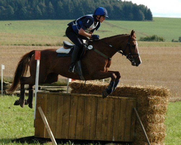 broodmare Athene KR. (Trakehner, 2002, from Peking Opera xx)