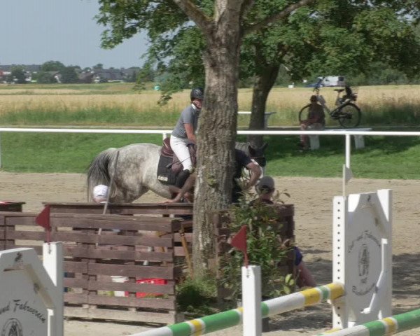 Reitturnier Biebesheim 2021
