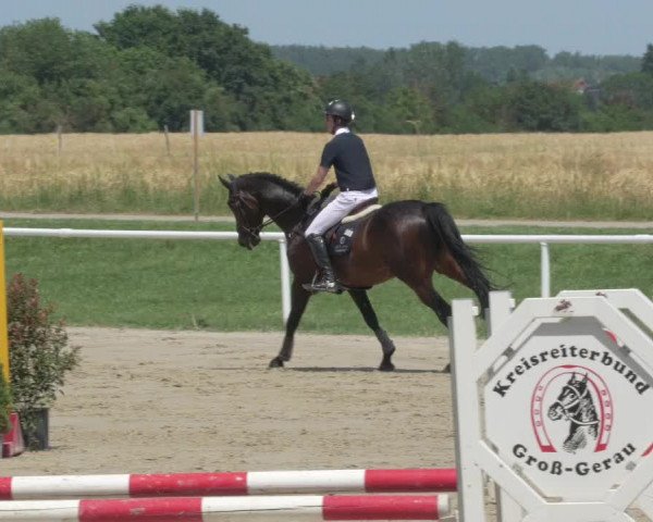 Reitturnier Biebesheim 2021