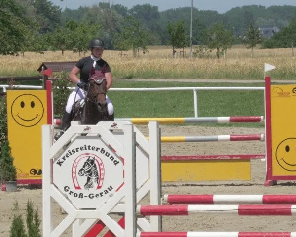 Reitturnier Biebesheim 2021