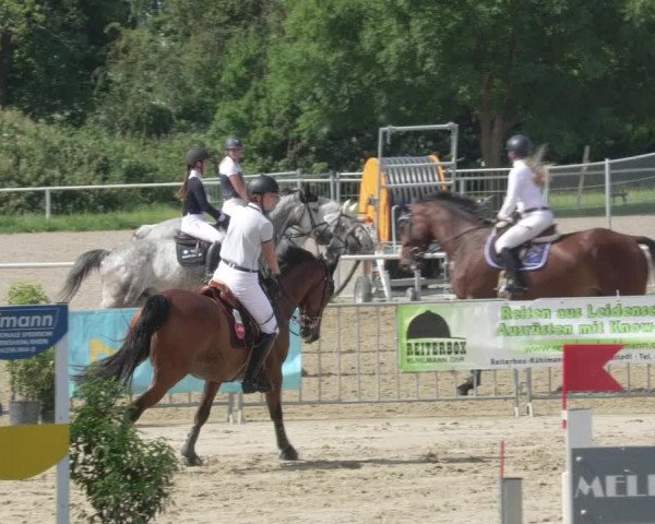 Reitturnier Biebesheim 2021