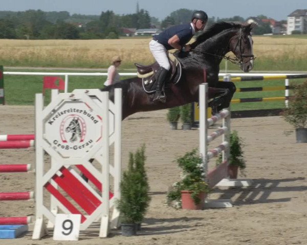 Reitturnier Biebesheim 2021